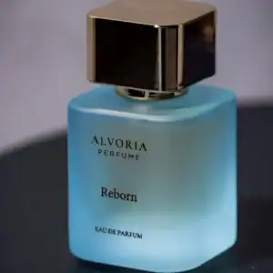 Alvoria ; VLTN Born in Roma ; Reborn 1
